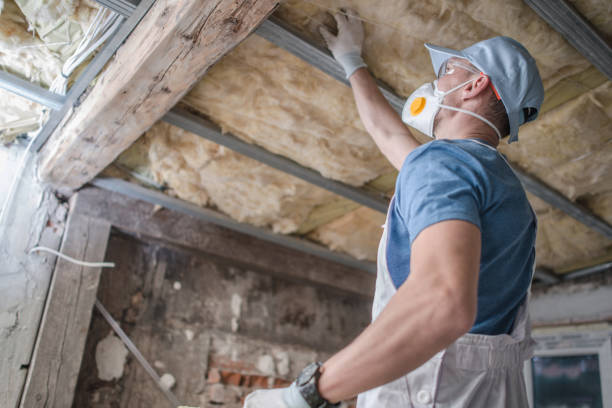 Best Geographic-Specific Insulation Services in Eagle River, WI